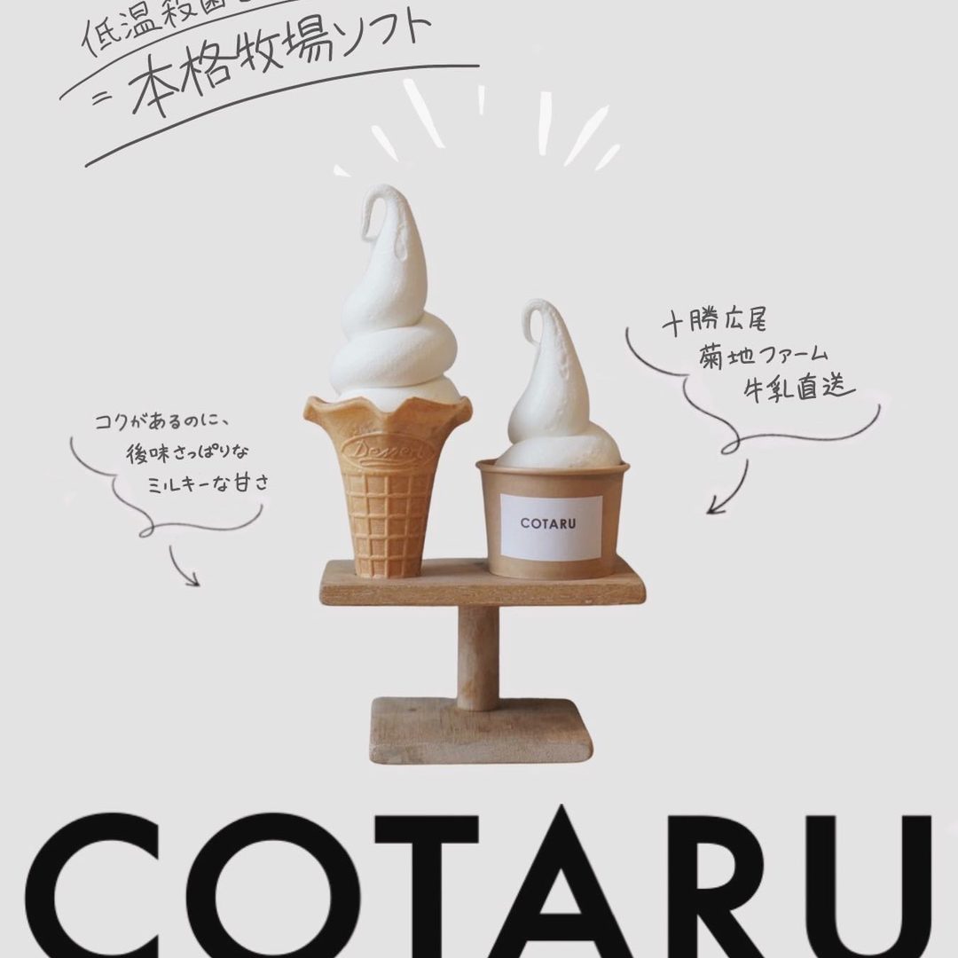 COTARU Instagram 投稿 3