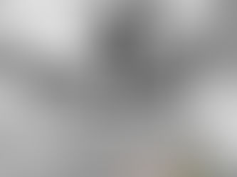 The Evolution of “Why”