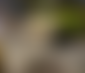 Alkohol beim Stillen: To drink or not to drink?