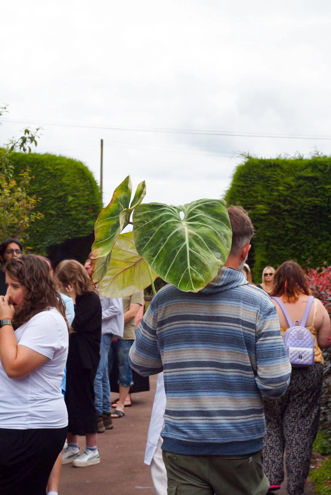 Shoppers chatting and comparing plant finds in the garden area during Plantstock.
