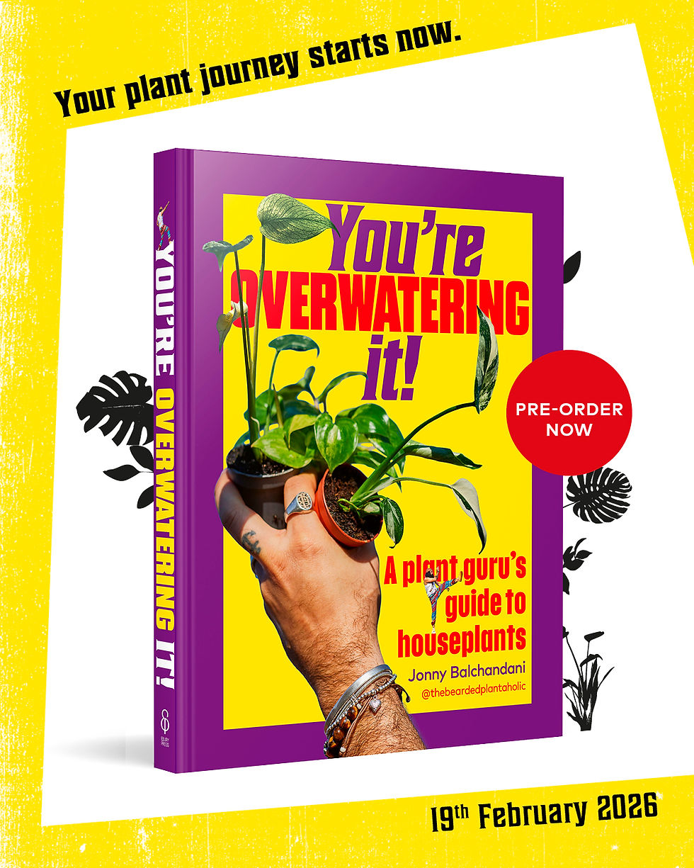 Which Plant Parent Are You? Take a Sneak Peek at the Hilarious Personality Tests in My Debut Book!