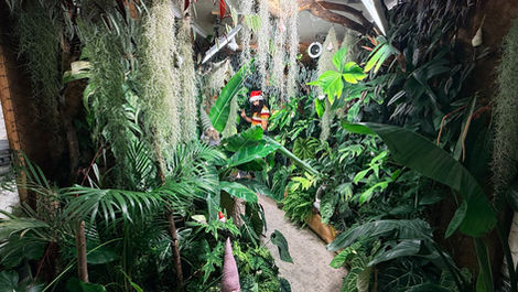 The Christmas Jungle Challenge: Spot the Gnomes, Win a Christmas Box worth £79.99!