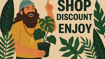 Welcome to the Bearded Plantaholic Outlet Store
