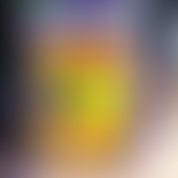 The Houseplant Book Everyone Is Talking About