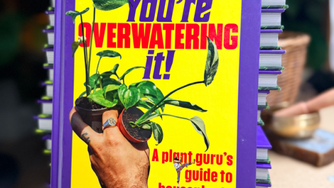 The Houseplant Book Everyone Is Talking About