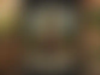 I’ve teamed up with Plnts.com!