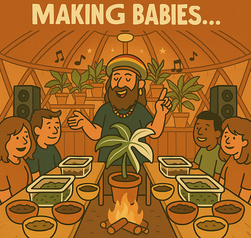 Funny retro cartoon inside a yurt, showing 20 people laughing and holding plant cuttings while building propagation boxes, led by a bearded man in a rasta hat. The atmosphere is playful, satirical, and full of energy.