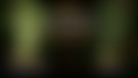 The Philodendrons That Made Me Financially Nervous and Emotionally Unstable
