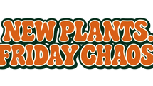 New Plants. Friday Chaos. The Bearded Plantaholic Instagram live plant sale.