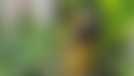 My First Ever USA Book Signing