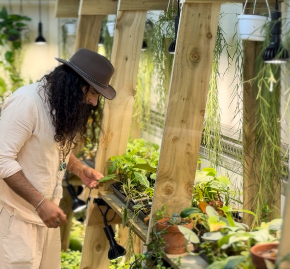 Plant lovers, discover The Bearded Plantaholic’s hidden jungle in the Malvern Hills — a unique shop packed with rare houseplants, in-store exclusives, and over 2,000 leafy legends. Visit now or grab your tickets for Plantstock 2025 before they’re gone!