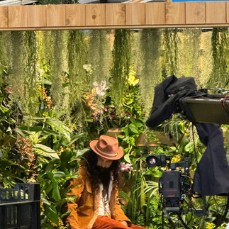 BBC film crew recording Gardener’s World segment featuring The Bearded Plantaholic’s RHS Silver Medal-winning garden.