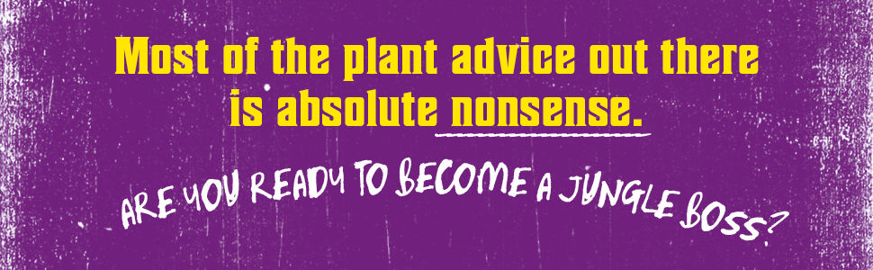 Illustrated spread from You’re Overwatering It explaining how to stop overwatering plants and understand what your soil is telling you.