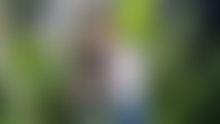 The Jungle Just Got Bigger: New Plants Have Landed at The Bearded Plantaholic