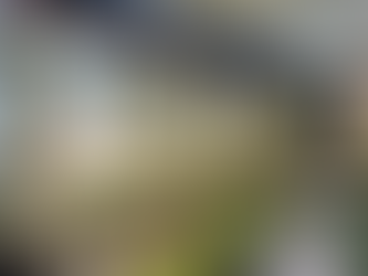 The Bearded Plantaholic plant shop exterior in Worcestershire, welcoming visitors into a world of indoor plants.