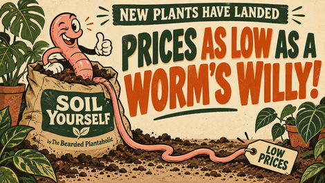 Vintage cartoon worm emerging from a Soil Yourself bag beside the headline Prices as Low as a Worm’s Willy.