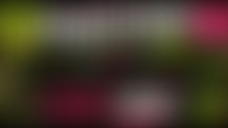 Plantstock 2026: The UK’s Most Unique Plant Event Returns (And This Time… It’s Official)