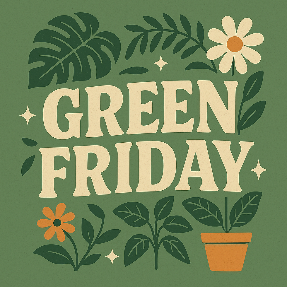GREEN FRIDAY: Why We Don’t Do Black Friday — We Do Something Better