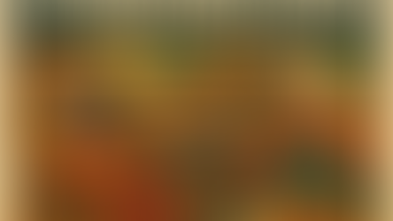 Christmas Posting Dates for Plants – Please Read Before Ordering