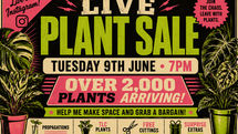 Plantstock Is Coming… And I Need Your Help
