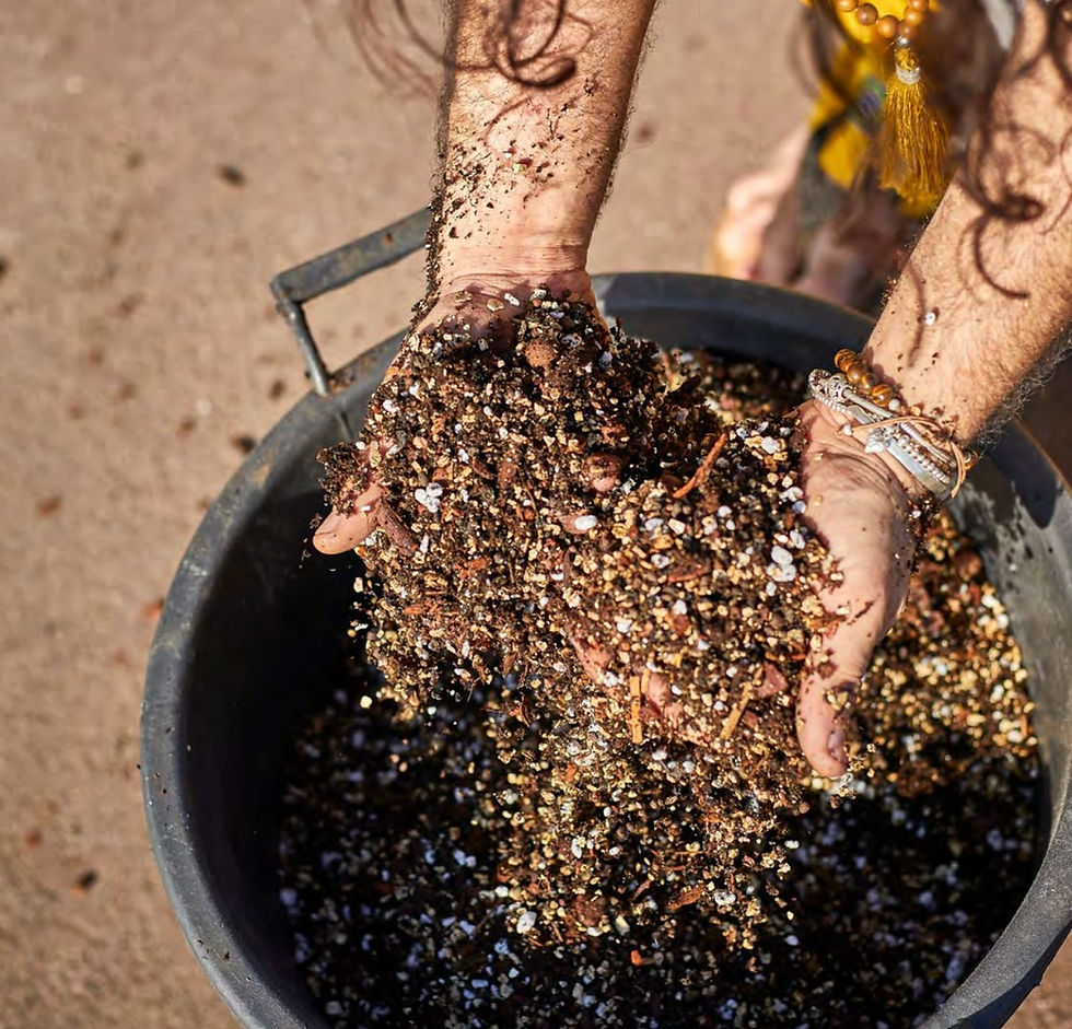 Peat-Free Aroid Potting Mixes That Actually Work – A Beard-Approved Breakdown