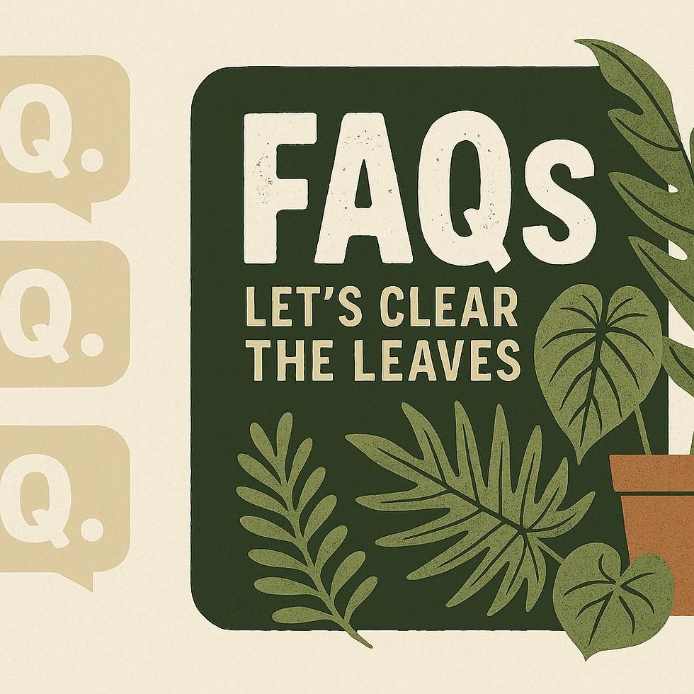 Illustration of The Bearded Plantaholic surrounded by question icons and tropical leaves, representing frequently asked questions about the outlet store — including plant quality, personalised aftercare, restock timing, and return policy.