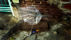 Paraguas muerto † 03.03.2013