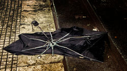 Paraguas muerto † 29.10.2012