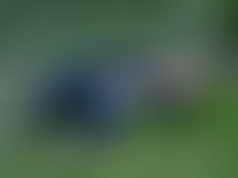 Bezvědomí — neboj se pomoci!