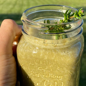 Geniální životabudič