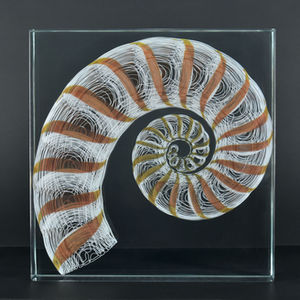 Glass Object #LXVII (Spirula spirula)