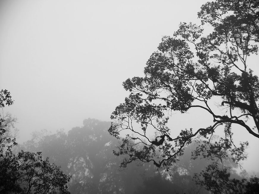 ondrej-matous-QJ21VdGWvz0-unsplash_edite