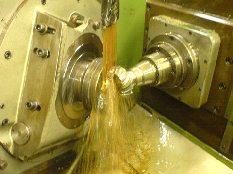 sp06.jpg