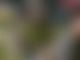 How Much Does Oyster Catering Cost in Hawaiʻi?