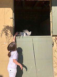 IMG-20220115-WA0026_edited.jpg