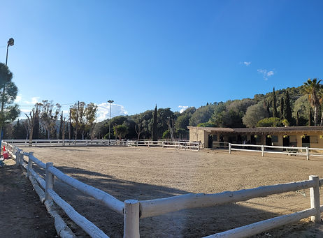 Paddocks hipica oso pony, escuela de equitación y ponyclub sitges