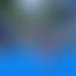 Muskoka Padel community raises nearly $39,000 for Bracebridge hospital