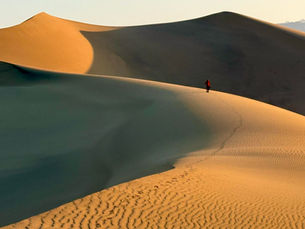 Only One Path Leads to Sovereign Love