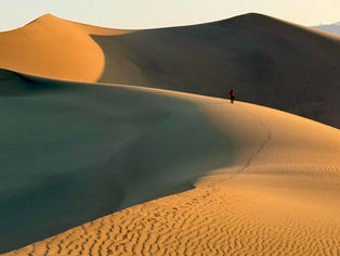 Only One Path Leads to Sovereign Love 
