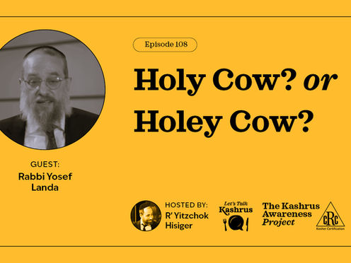 Holy Cow? or Holey Cow?