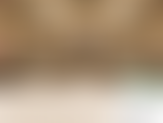 Halls of Torah and Tefillah... and Kashrus