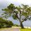 Thumbnail: Mississippi Group 1