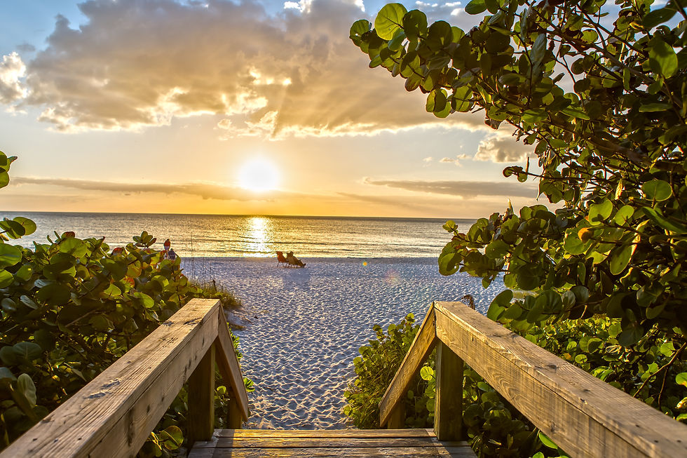 Thumbnail: Florida Group 2