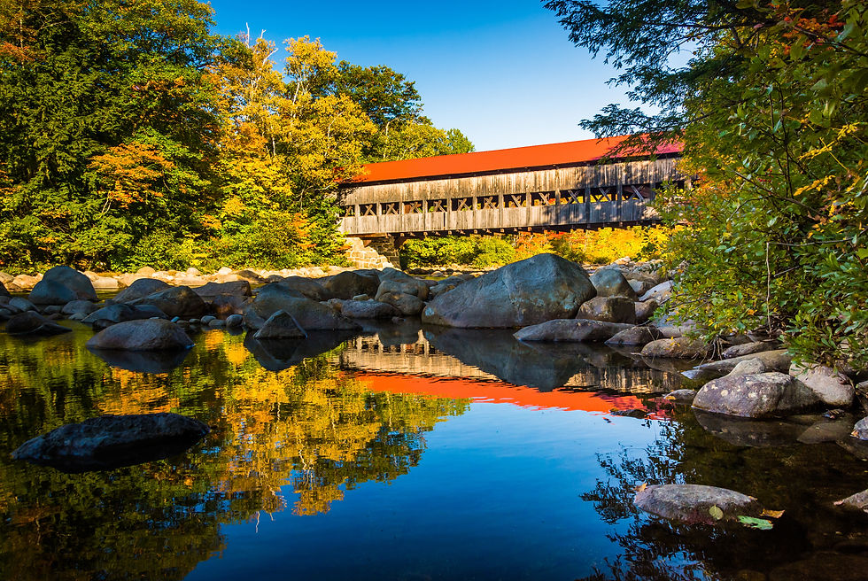 Thumbnail: New Hampshire Group 1