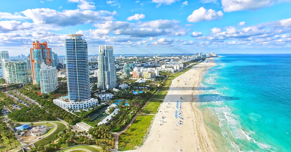 Thumbnail: Florida Group 1