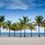 Thumbnail: Florida Group 1