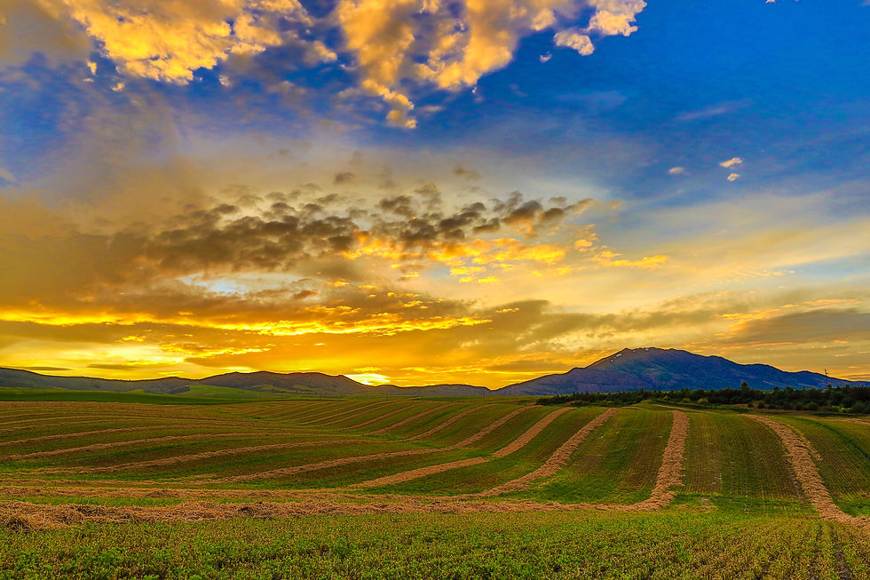 Thumbnail: Idaho Group 1