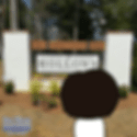 tina observe_2.gif