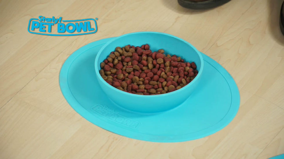 Thumbnail: STARLYF PET BOWL