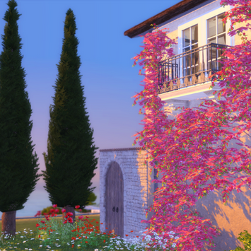 maison des fleurs - exterior5.png
